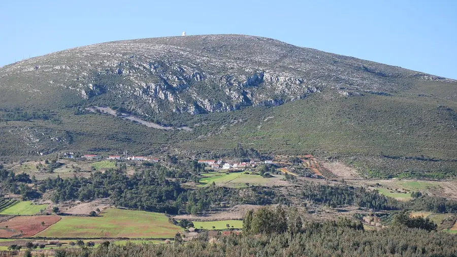 Alambi exige controlo das plantações ilegais de eucaliptos em Montejunto