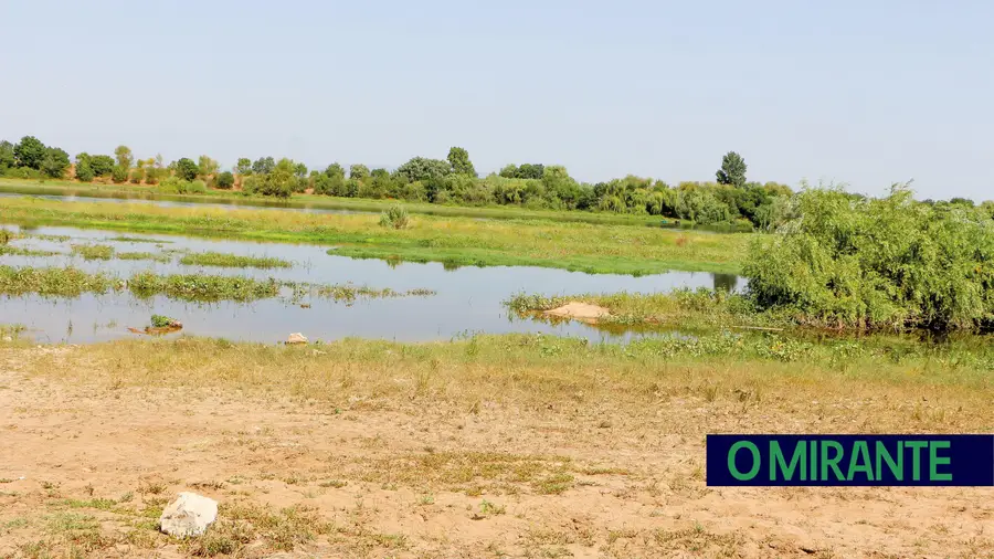 Zona ribeirinha da Chamusca ao abandono e com lixo acumulado durante uma semana