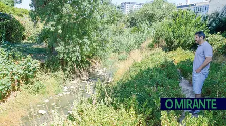 Município está a monitorizar a qualidade da água da ribeira da Verdelha em Alverca Município está a monitorizar a qualidade da água da ribeira da Verdelha em Alverca