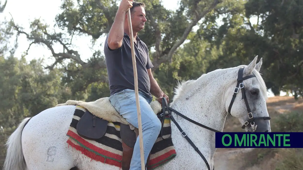 João Inácio “Janica” é o campino homenageado nas festas de Samora Correia