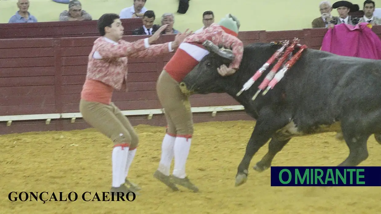 Noite trágica no Campo Pequeno com a morte do forcado Manuel Maria Trindade