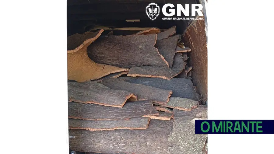 Mulher constituída arguida em Coruche por furto de 450 quilos de cortiça Mulher constituída arguida em Coruche por furto de 450 quilos de cortiça