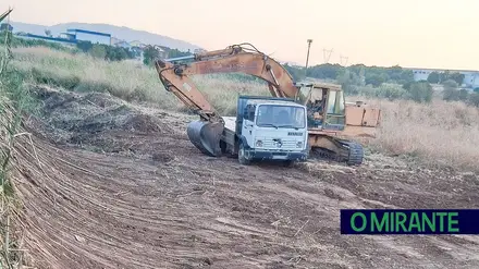 Caso da vacaria na Granja continua a dar trabalho aos tribunais