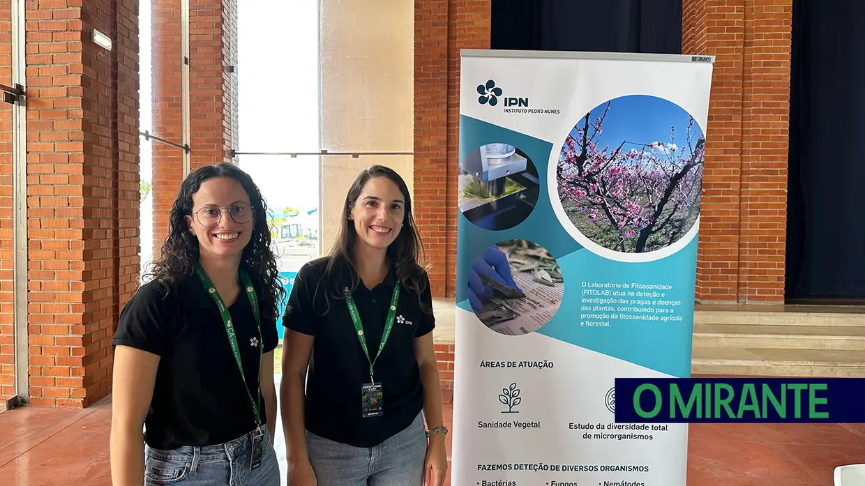Empresas e Empresários na Agroglobal II