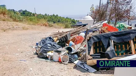 Lixo e ruas degradadas continuam a ser cartão de visita da Verdelha do Ruivo