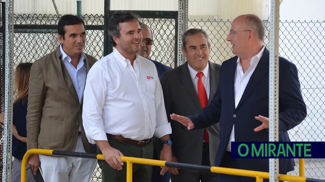 Sugal instala em Benavente a primeira caldeira de biomassa florestal da indústria do tomate na Europa