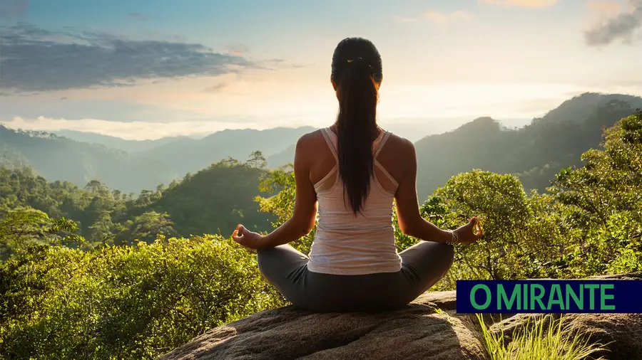 Zen Talks regressa a Mação com edição dedicada ao tema “Fluir”