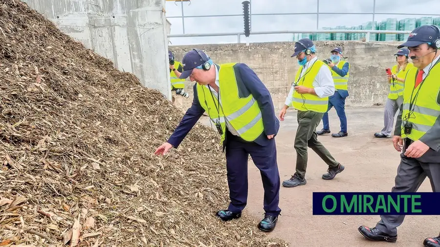 Cheirinho a eucalipto, travo a incêndio