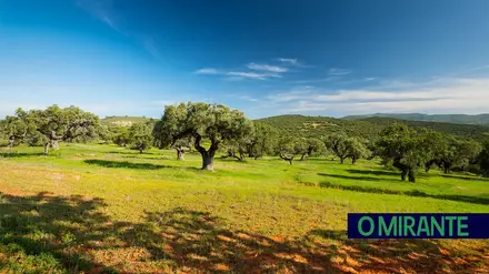 montado paisagem alentejo ribatejo turismo