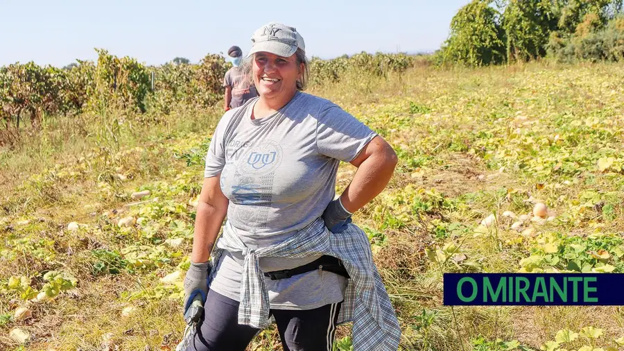 Campos de Almeirim guardam histórias de quem não vira as costas à luta