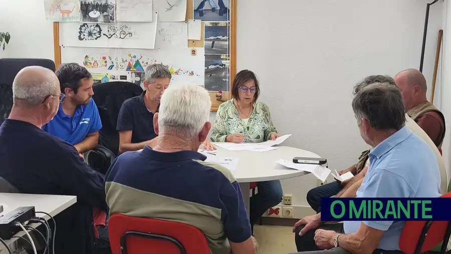 Leilão municipal da azeitona mobiliza comunidade e mantém tradição em Abrantes