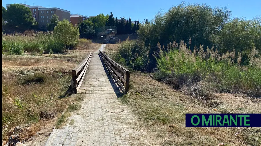 Ribeira do Mergulhão em Santarém precisa de limpeza urgente