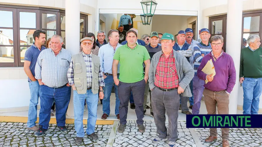O que é preciso fazer para viver em paz?