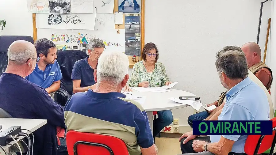 Leilão municipal da azeitona mobiliza comunidade e mantém tradição em Abrantes