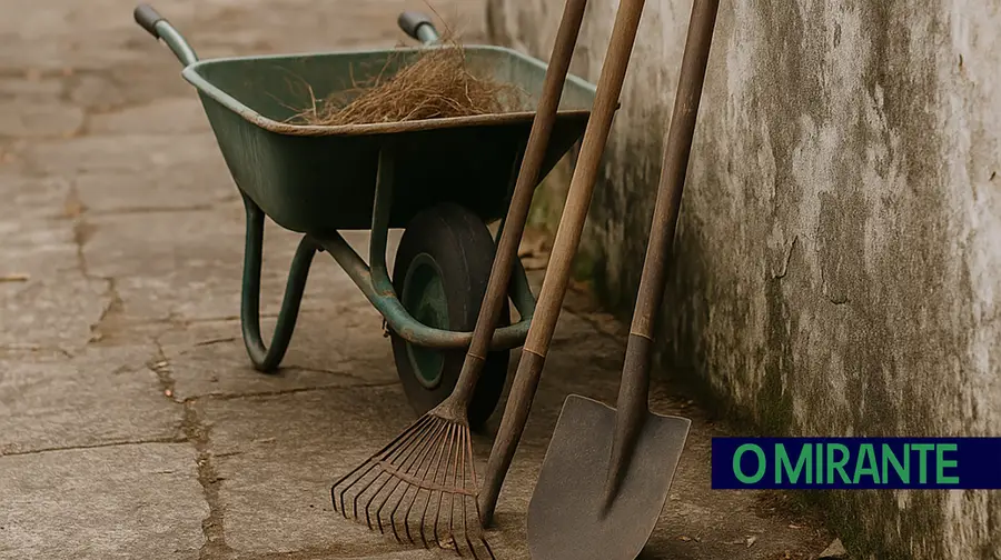 Falta de limpeza no cemitério de Abrantes gera preocupação
