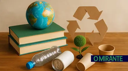 reciclagem eco escolas