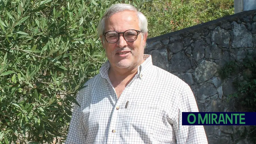 Ouro Líquido quer travar o abandono e valorizar o olival tradicional