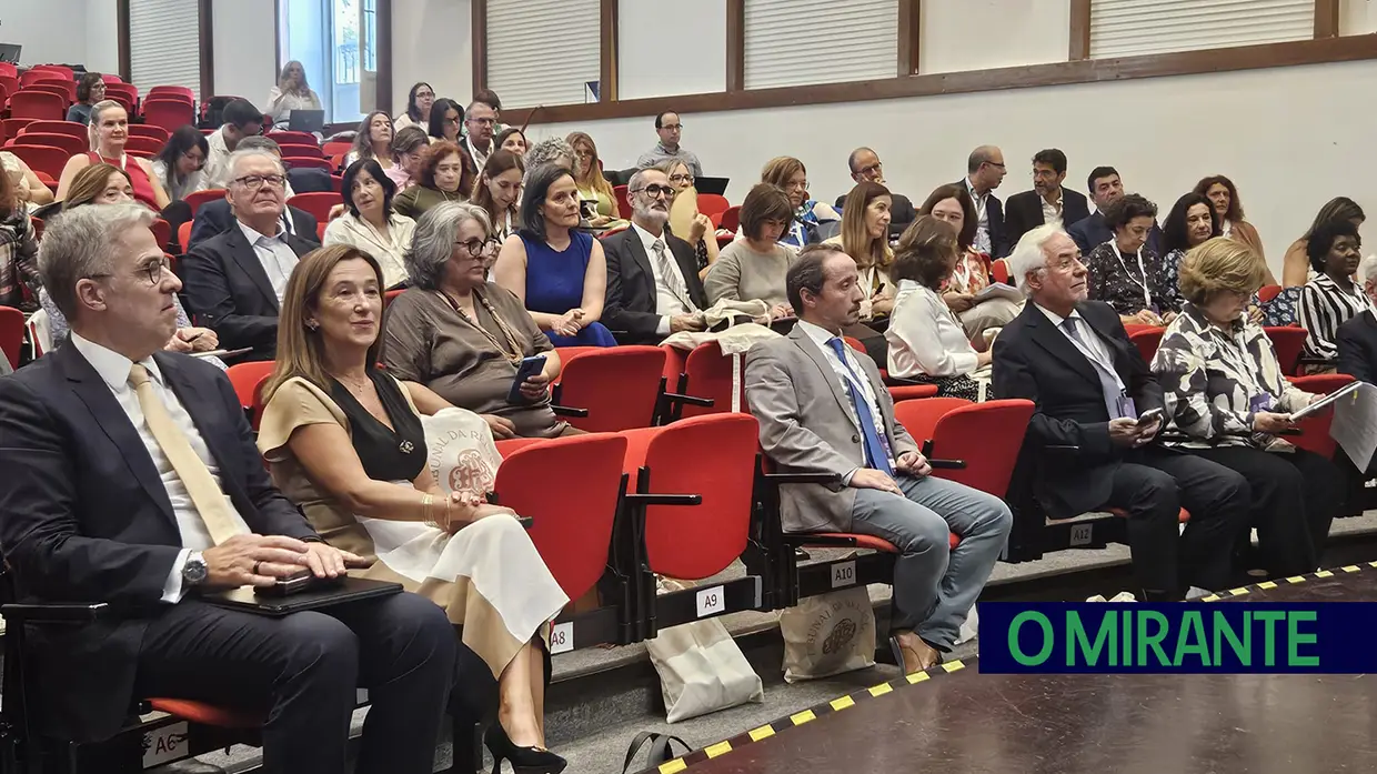 Jornadas a Sul do Direito Civil e Processual Civil