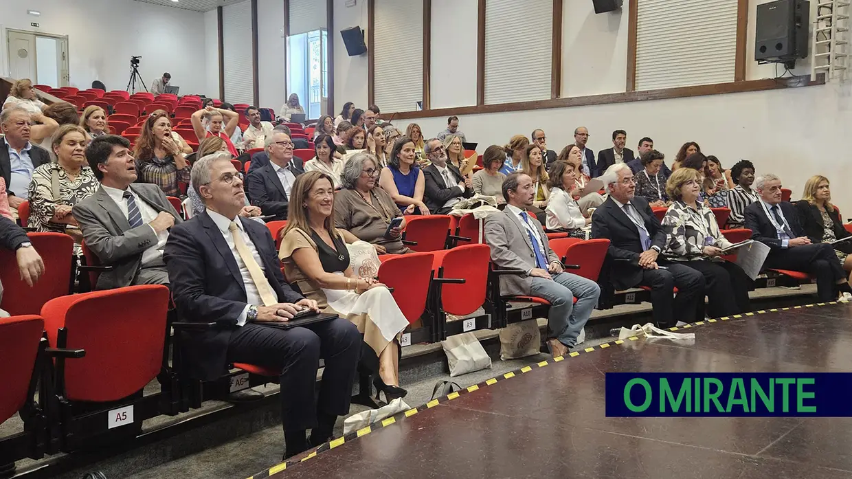 Jornadas a Sul do Direito Civil e Processual Civil