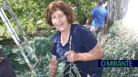 Dia da Mulher Rural: uma vida de trabalho com as mãos na terra Dia da Mulher Rural: uma vida de trabalho com as mãos na terra