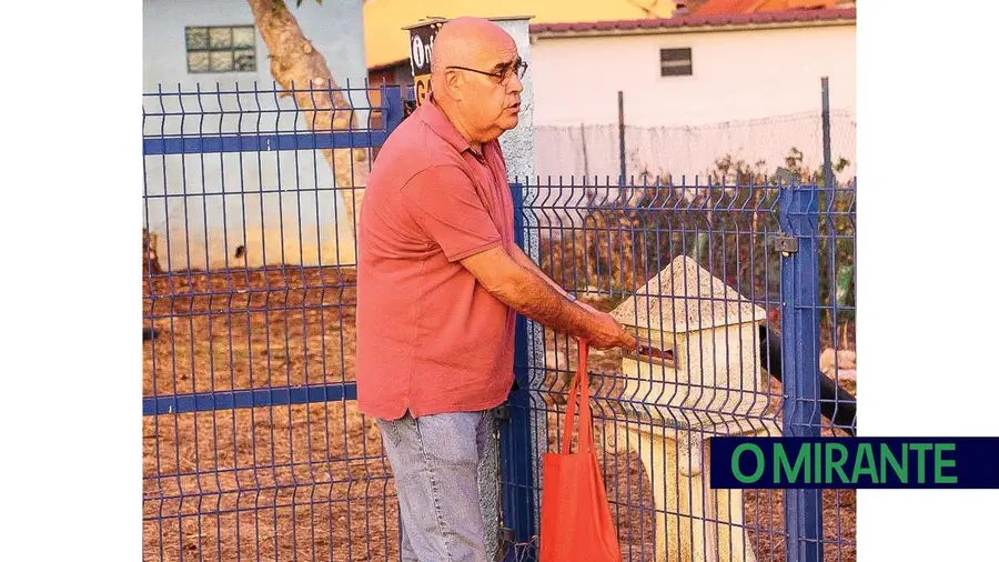 Madelino ainda não conseguiu arranjar emprego na sua terra Madelino ainda não conseguiu arranjar emprego na sua terra