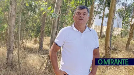 “Não se pode plantar eucaliptos junto de casas, mas pode-se construir casas junto de eucaliptos”