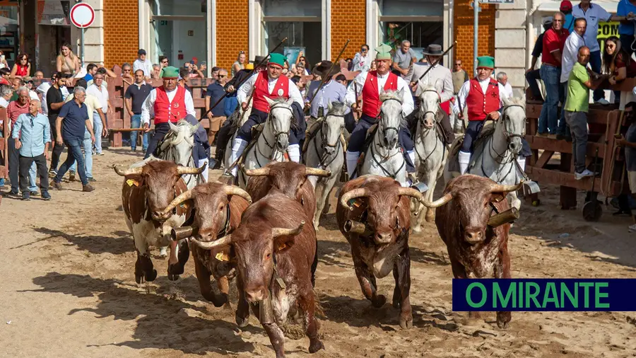Feira de Outubro em Vila Franca de Xira termina com balanço positivo Feira de Outubro em Vila Franca de Xira termina com balanço positivo