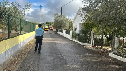 Oito esfaqueados na associação Picapau