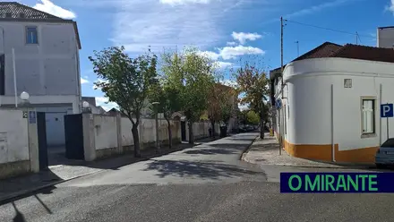 Avenida dos Combatentes em Santarém com novas árvores