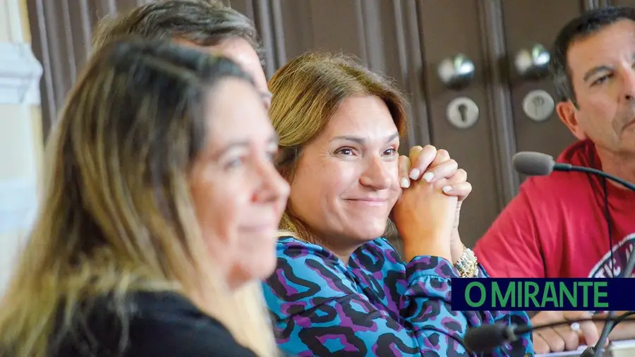 Governar um saco de gatos Governar um saco de gatos