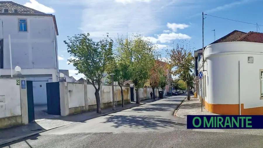 Avenida dos Combatentes em Santarém com arvoredo renovado