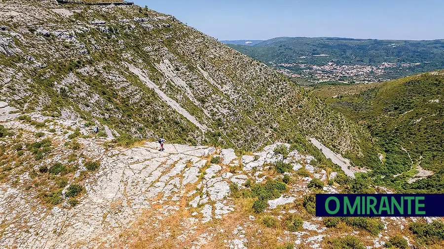 Nova espécie de bicho-de-conta descoberta na Serra de Aire e Candeeiros Nova espécie de bicho-de-conta descoberta na Serra de Aire e Candeeiros