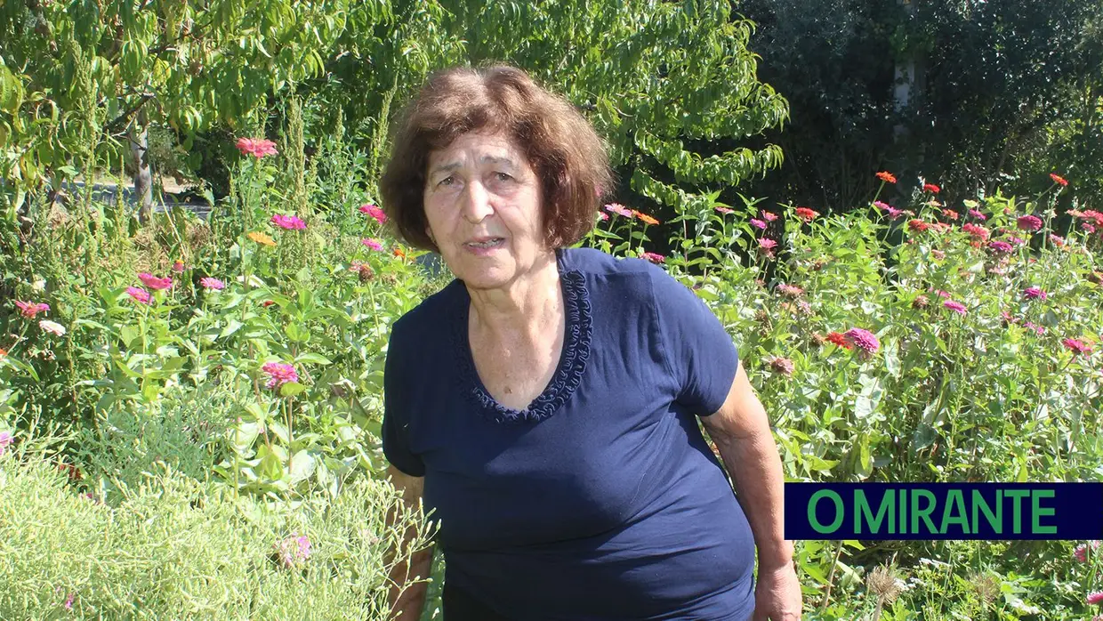 A dureza do trabalho no campo pelas mãos de duas mulheres