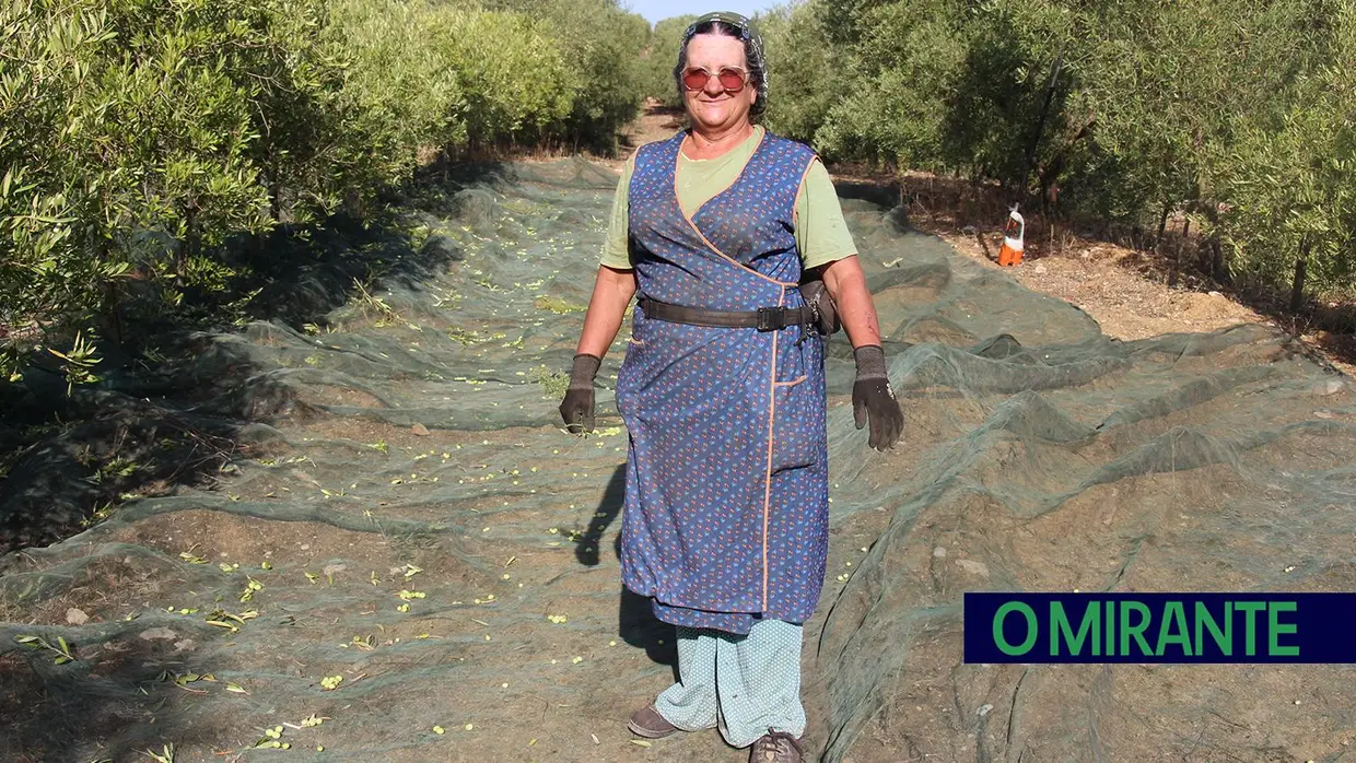 A dureza do trabalho no campo pelas mãos de duas mulheres