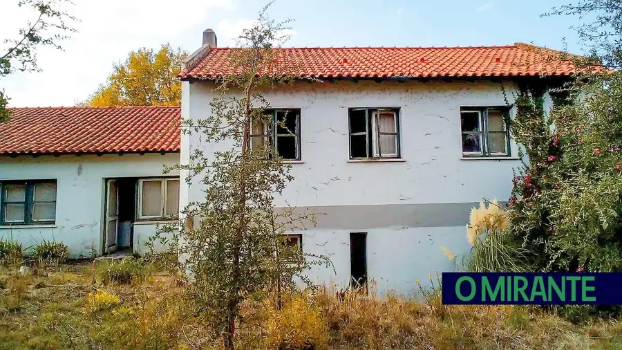 Antigo bairro da Caima em Constância Sul é imagem de abandono e degradação Antigo bairro da Caima em Constância Sul é imagem de abandono e degradação