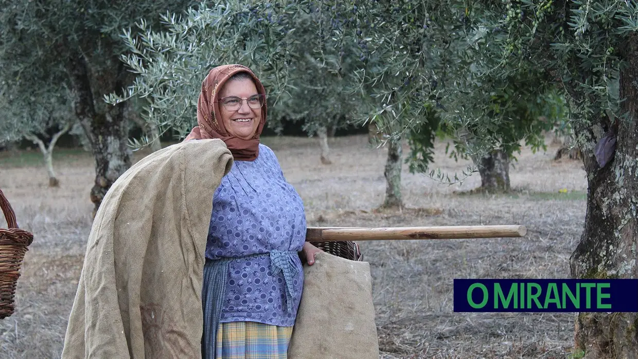 Projecto “Apadrinha Uma Oliveira” recupera olivais tradicionais em Abrantes e promove azeite local