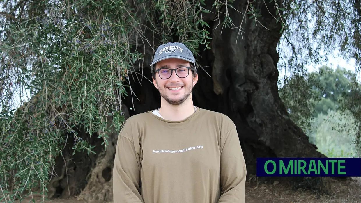Projecto “Apadrinha Uma Oliveira” recupera olivais tradicionais em Abrantes e promove azeite local