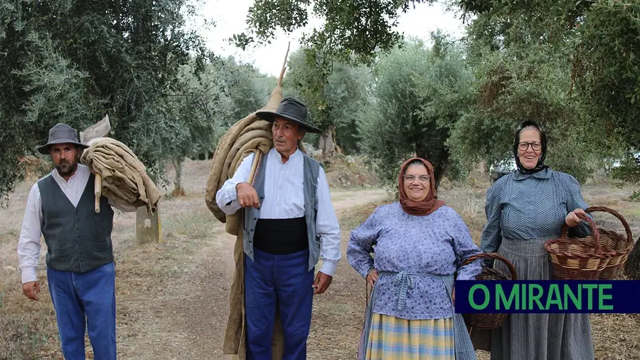 Projecto “Apadrinha Uma Oliveira” recupera olivais tradicionais em Abrantes e promove azeite local Projecto “Apadrinha Uma Oliveira” recupera olivais tradicionais em Abrantes e promove azeite local