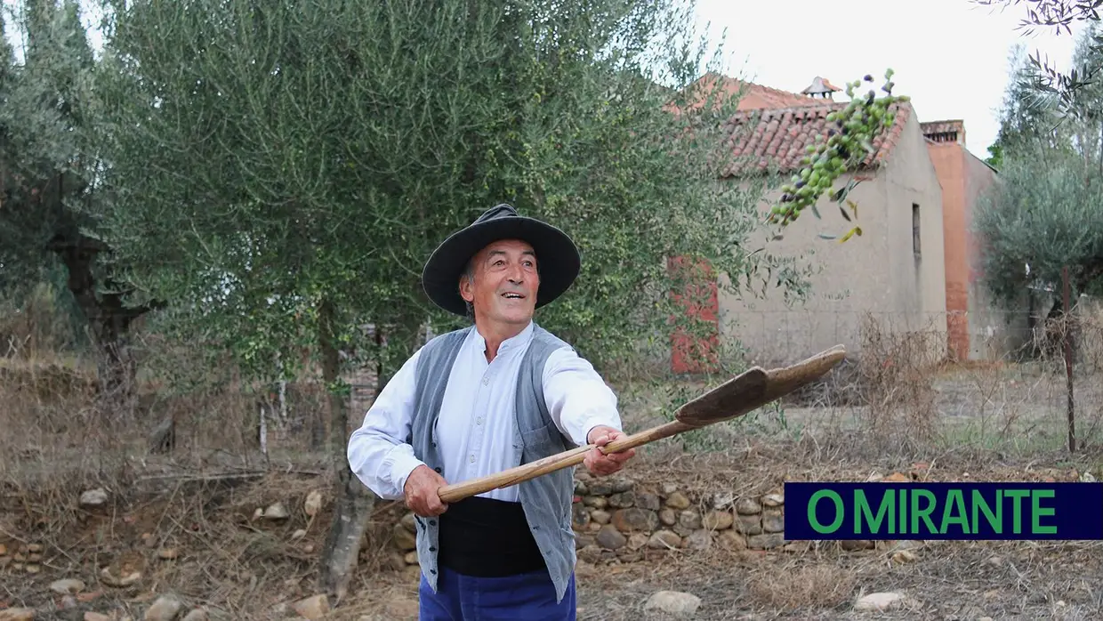 Projecto “Apadrinha Uma Oliveira” recupera olivais tradicionais em Abrantes e promove azeite local