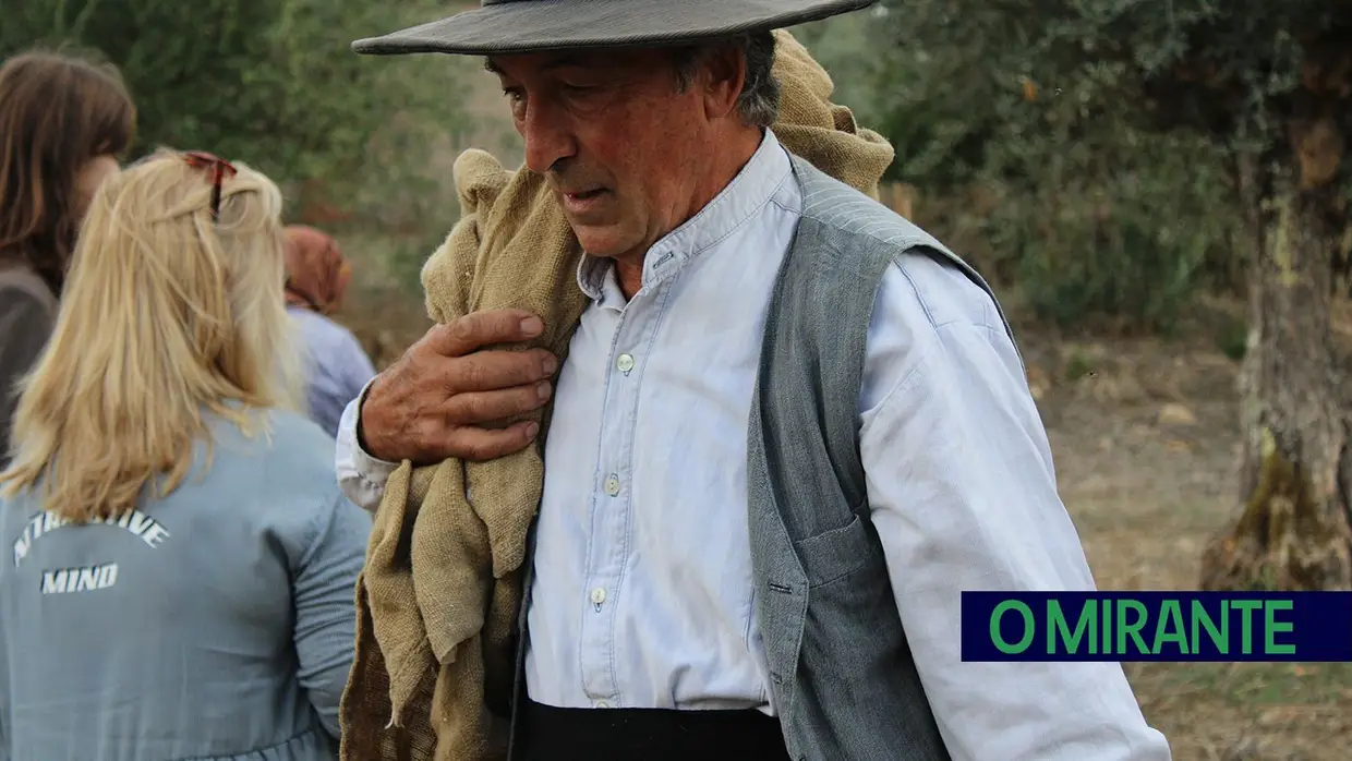 Projecto “Apadrinha Uma Oliveira” recupera olivais tradicionais em Abrantes e promove azeite local