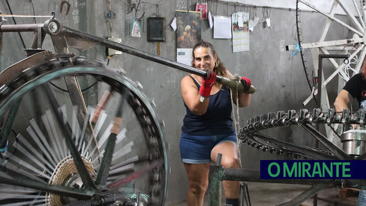 Projecto “Apadrinha Uma Oliveira” recupera olivais tradicionais em Abrantes e promove azeite local