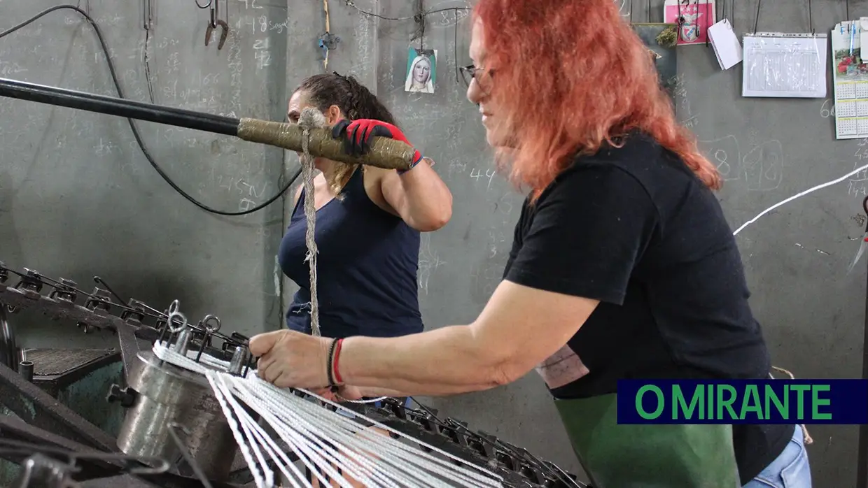 Projecto “Apadrinha Uma Oliveira” recupera olivais tradicionais em Abrantes e promove azeite local