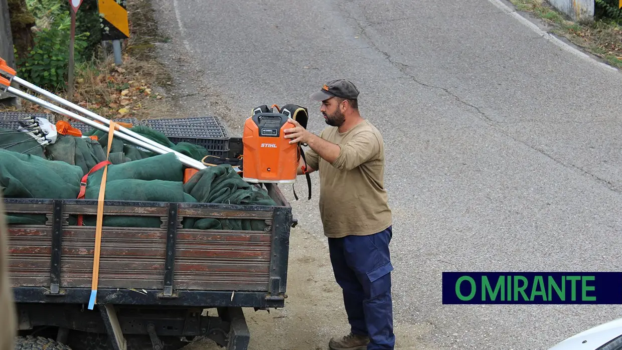 Projecto “Apadrinha Uma Oliveira” recupera olivais tradicionais em Abrantes e promove azeite local