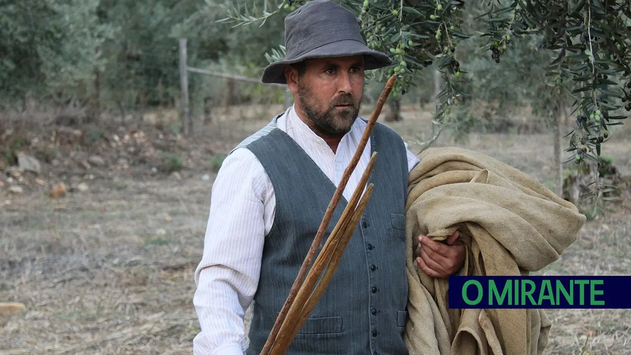 Projecto “Apadrinha Uma Oliveira” recupera olivais tradicionais em Abrantes e promove azeite local