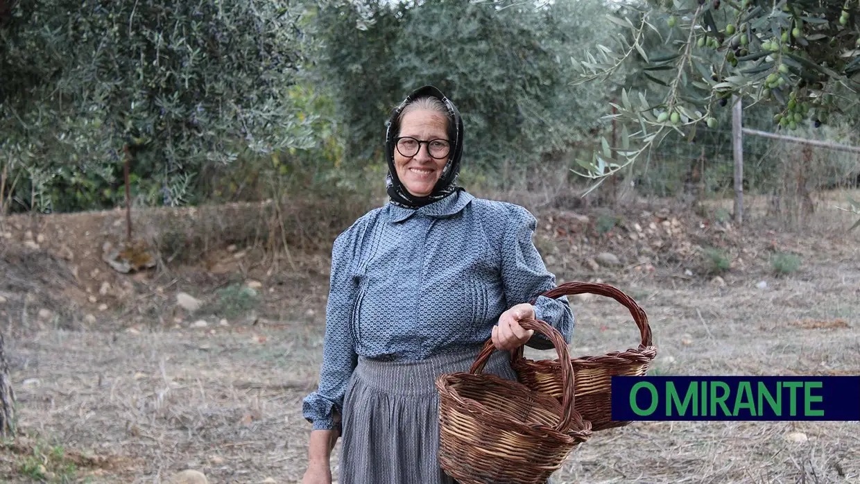 Projecto “Apadrinha Uma Oliveira” recupera olivais tradicionais em Abrantes e promove azeite local