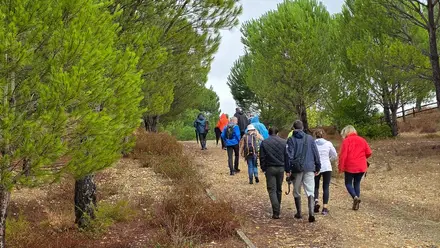 Passeio deu a conhecer Reserva Natural Local do Paul da Gouxa Passeio deu a conhecer Reserva Natural Local do Paul da Gouxa