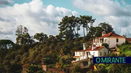 Sons na Adega visita Quinta da Alba 