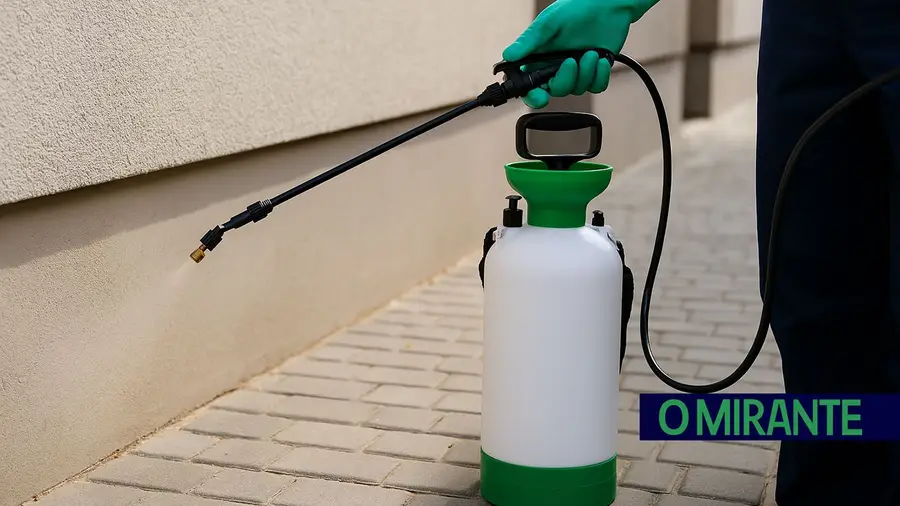 Baratas continuam a motivar queixas e críticas em Tomar