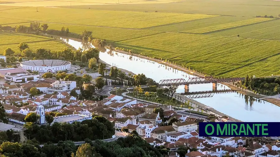 Coruche vai mapear todas as árvores do espaço urbano Coruche vai mapear todas as árvores do espaço urbano