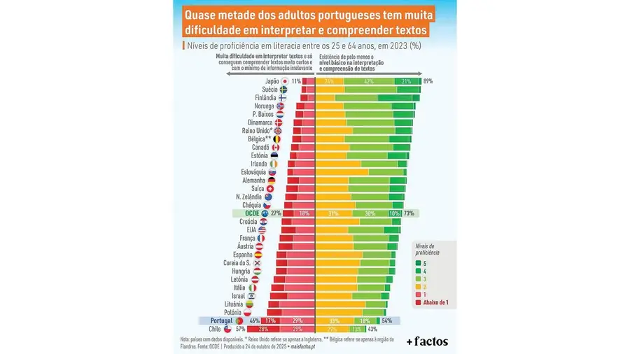 Quase metade dos adultos portugueses tem dificuldade em interpretar e compreender textos
